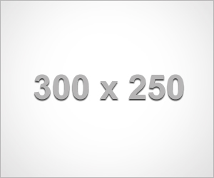 banner-300x250-demo