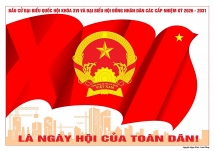 tham gia cuoc thi truc tuyen tim hieu bau cu dai bieu quoc hoi va hoi dong nhan dan cac cap