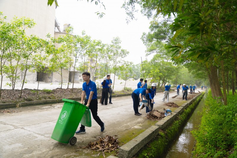 hanh trinh ve nguon lan toa tinh than tuoi tre vicem